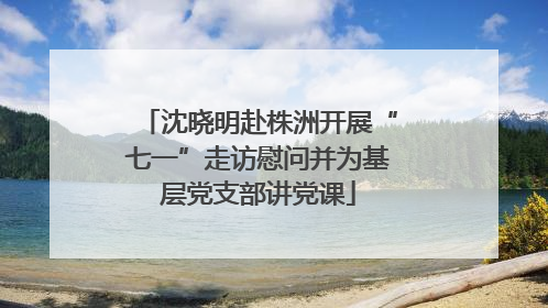 沈晓明赴株洲开展“七一”走访慰问并为基层党支部讲党课