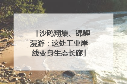 沙鸥翔集、锦鲤漫游：这处工业岸线变身生态长廊
