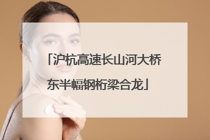 沪杭高速长山河大桥东半幅钢桁梁合龙