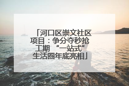 河口区崇文社区项目：争分夺秒抢工期 “一站式”生活圈年底亮相