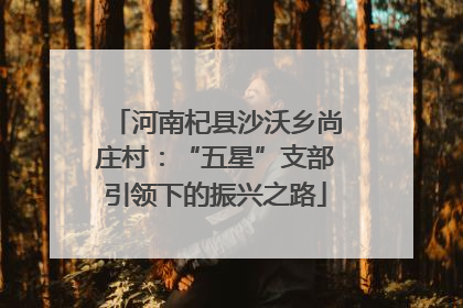 河南杞县沙沃乡尚庄村：“五星”支部引领下的振兴之路
