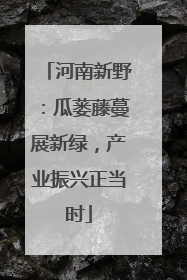河南新野：瓜蒌藤蔓展新绿，产业振兴正当时