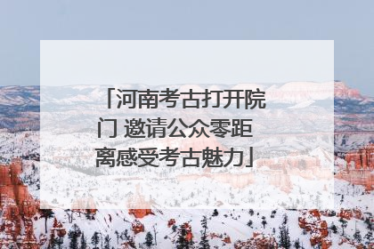 河南考古打开院门 邀请公众零距离感受考古魅力