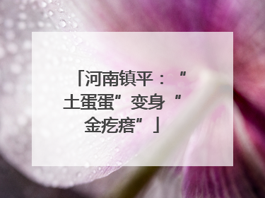 河南镇平：“土蛋蛋”变身“金疙瘩”
