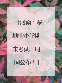 河南：多地中小学期末考试，时间公布！