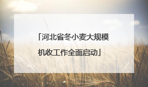 河北省冬小麦大规模机收工作全面启动