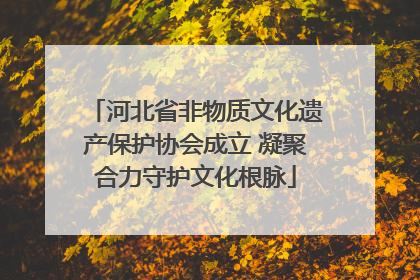 河北省非物质文化遗产保护协会成立 凝聚合力守护文化根脉