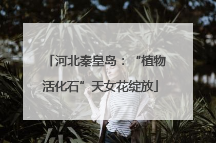 河北秦皇岛：“植物活化石”天女花绽放
