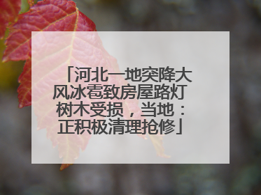 河北一地突降大风冰雹致房屋路灯树木受损，当地：正积极清理抢修
