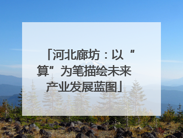 河北廊坊：以“算”为笔描绘未来产业发展蓝图