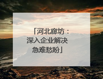 河北廊坊：深入企业解决急难愁盼