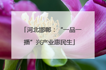 河北邯郸：“一品一播”兴产业惠民生