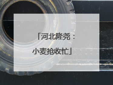 河北隆尧：小麦抢收忙