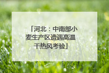 河北：中南部小麦生产区遭遇高温干热风考验