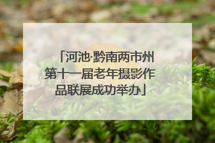 河池·黔南两市州第十一届老年摄影作品联展成功举办