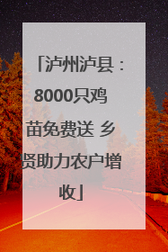 泸州泸县：8000只鸡苗免费送 乡贤助力农户增收