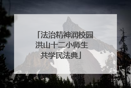 法治精神润校园 洪山十二小师生共学民法典