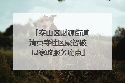 泰山区财源街道清真寺社区聚智破局家政服务痛点