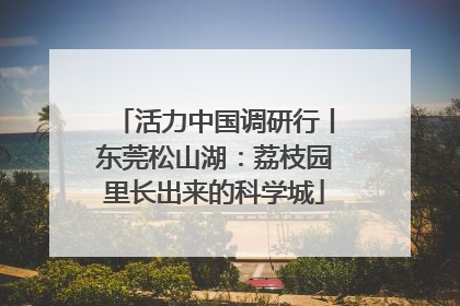 活力中国调研行丨东莞松山湖：荔枝园里长出来的科学城