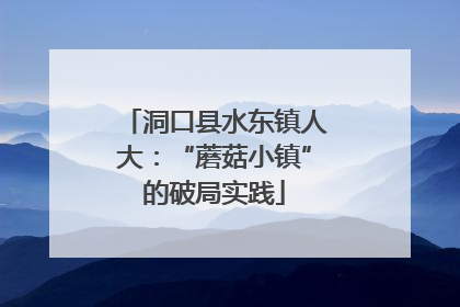 洞口县水东镇人大：“蘑菇小镇”的破局实践