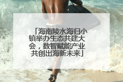 海南陵水海归小镇举办生态共建大会，数智赋能产业共创出海新未来
