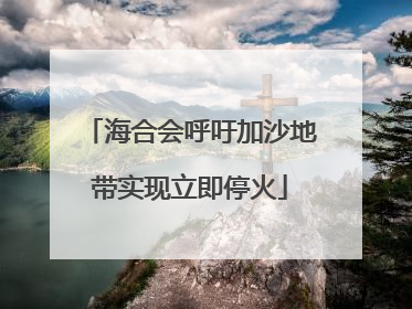 海合会呼吁加沙地带实现立即停火