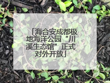 海合安成都极地海洋公园“川溪生态馆”正式对外开放