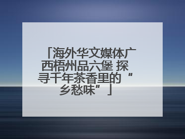 海外华文媒体广西梧州品六堡 探寻千年茶香里的“乡愁味”