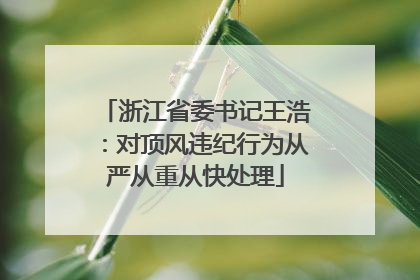 浙江省委书记王浩：对顶风违纪行为从严从重从快处理