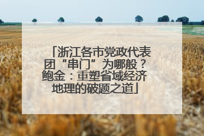 浙江各市党政代表团“串门”为哪般？鲍金：重塑省域经济地理的破题之道