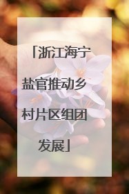 浙江海宁盐官推动乡村片区组团发展
