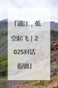 浦江，低空起飞｜2025对话街镇