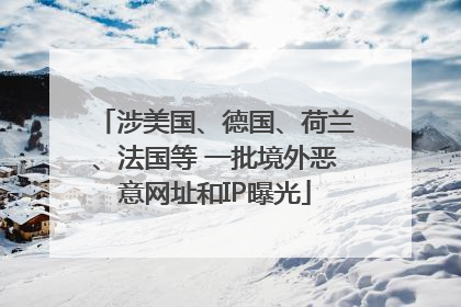 涉美国、德国、荷兰、法国等 一批境外恶意网址和IP曝光