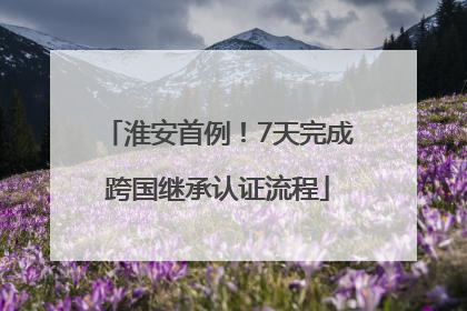 淮安首例！7天完成跨国继承认证流程