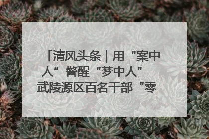 清风头条｜用“案中人”警醒“梦中人” 武陵源区百名干部“零距离”接受警示教育