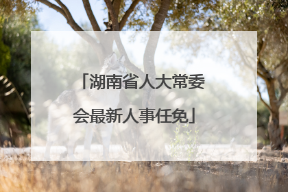 湖南省人大常委会最新人事任免