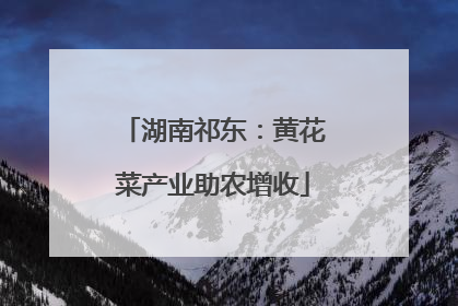湖南祁东：黄花菜产业助农增收