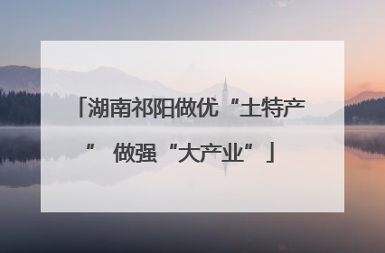 湖南祁阳做优“土特产” 做强“大产业”