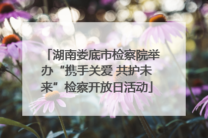 湖南娄底市检察院举办“携手关爱 共护未来”检察开放日活动
