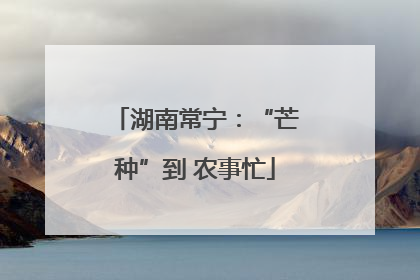 湖南常宁：“芒种”到 农事忙