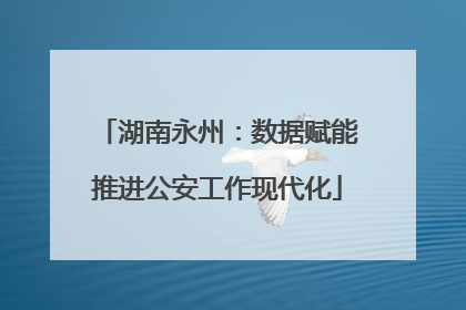 湖南永州：数据赋能推进公安工作现代化