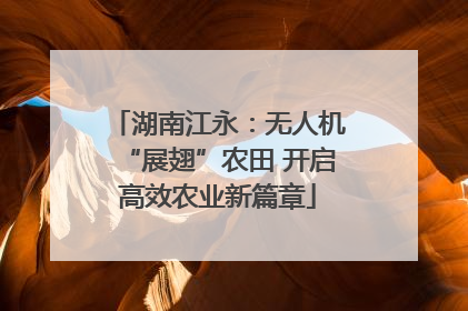 湖南江永：无人机“展翅”农田 开启高效农业新篇章
