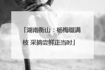 湖南衡山：杨梅缀满枝 采摘尝鲜正当时