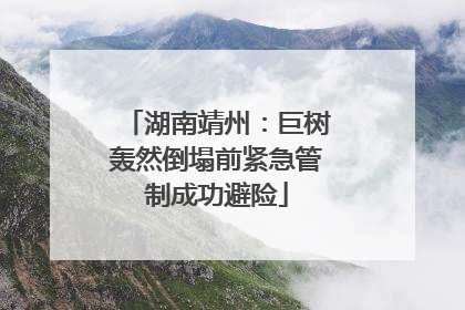 湖南靖州：巨树轰然倒塌前紧急管制成功避险