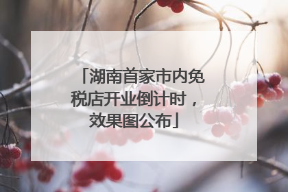 湖南首家市内免税店开业倒计时，效果图公布
