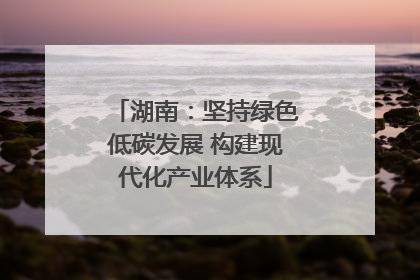 湖南：坚持绿色低碳发展 构建现代化产业体系