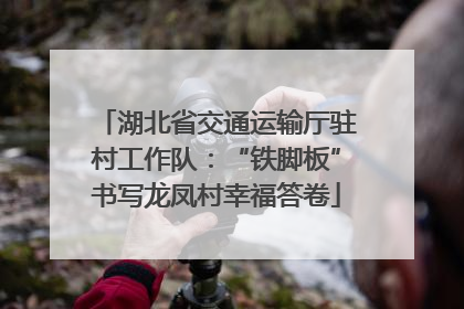 湖北省交通运输厅驻村工作队：“铁脚板”书写龙凤村幸福答卷