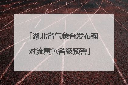 湖北省气象台发布强对流黄色省级预警