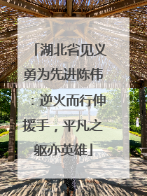 湖北省见义勇为先进陈伟：逆火而行伸援手，平凡之躯亦英雄