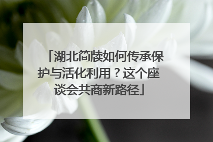 湖北简牍如何传承保护与活化利用？这个座谈会共商新路径